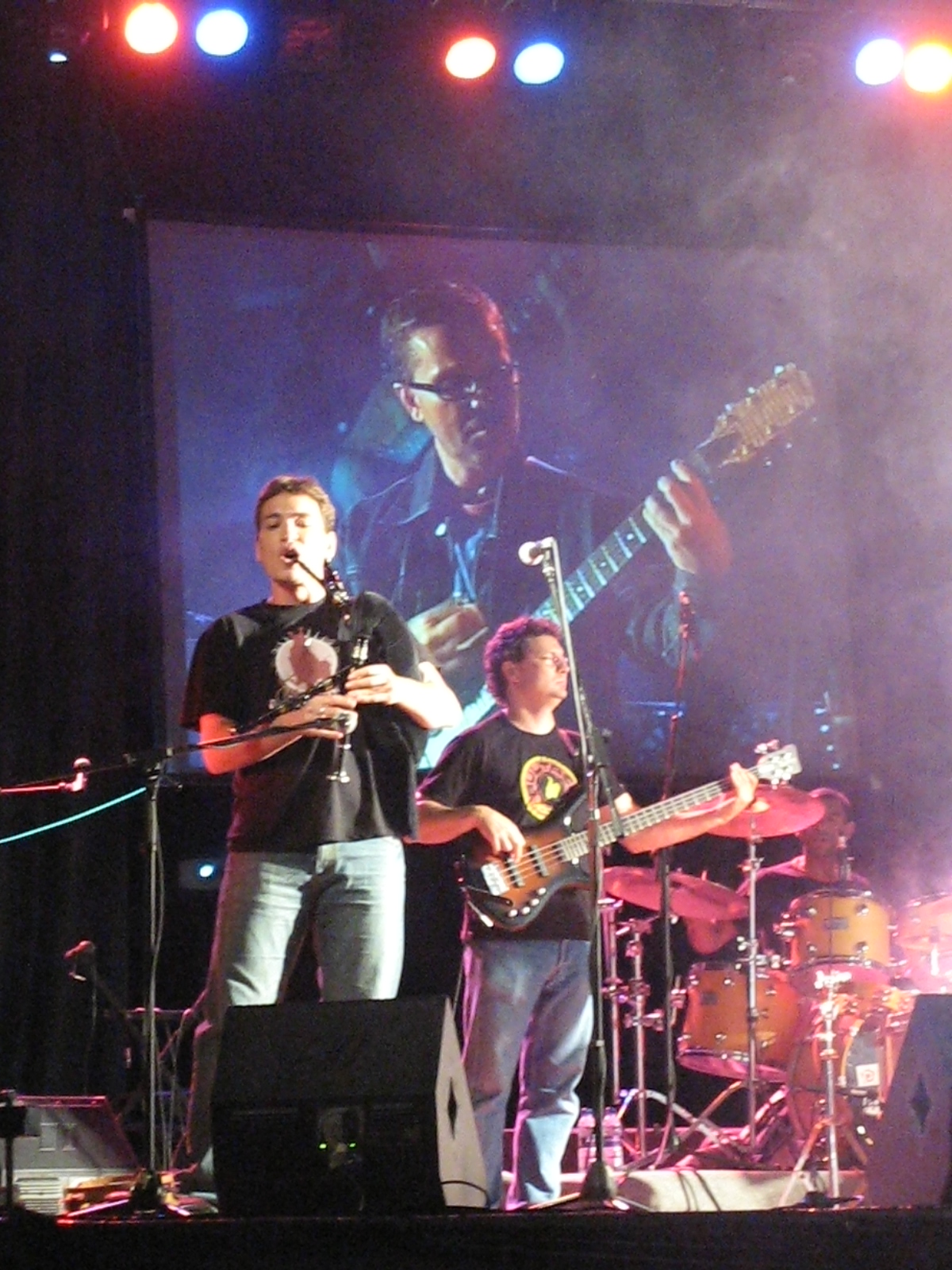 Avelaíña actuando en concierto